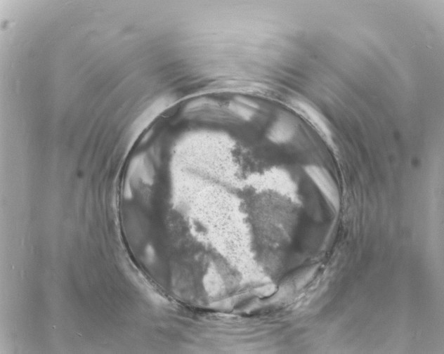 X0000088030907200706011346