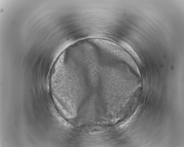 X0000088030908200706011346