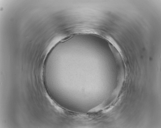 X0000088030909200706011346