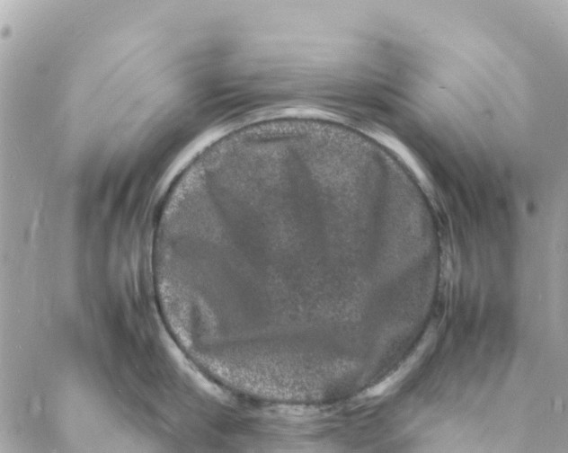 X0000088030910200706011346