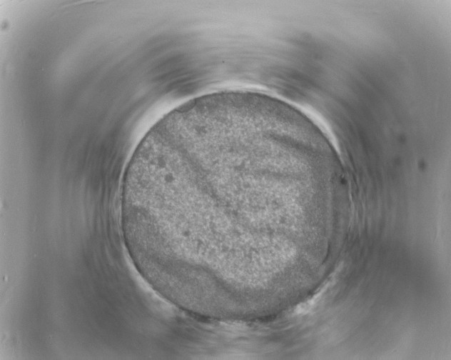 X0000088030911200706011346