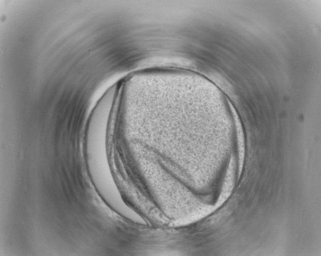 X0000088030912200706011346