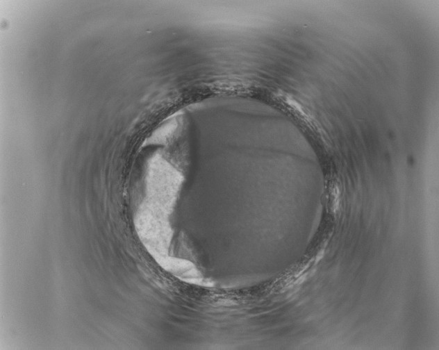 X0000088030913200706011345