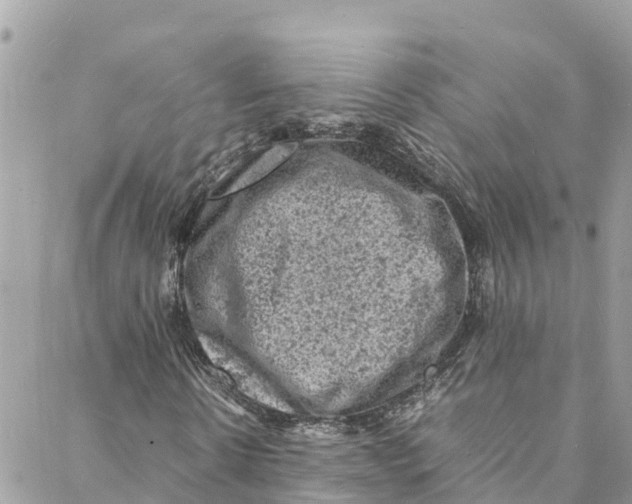 X0000088030914200706011345