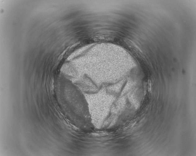 X0000088030915200706011345