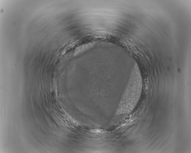 X0000088030916200706011345