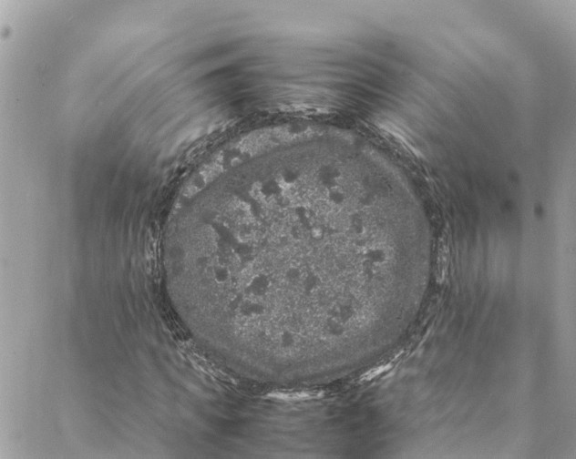 X0000088030917200706011346