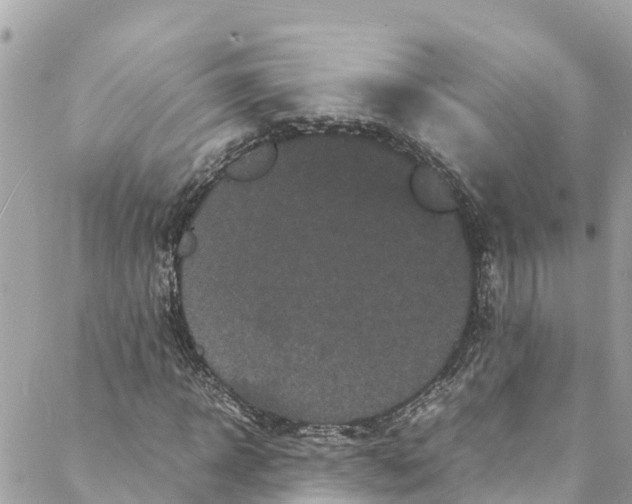 X0000088030918200706011346