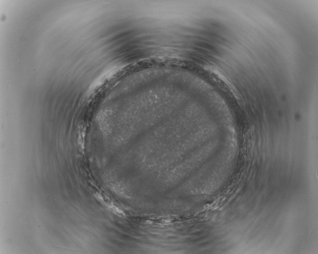 X0000088030919200706011346