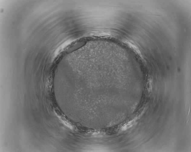 X0000088030920200706011346