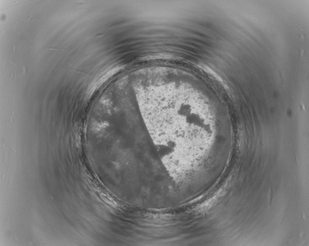 X0000088030921200706011346