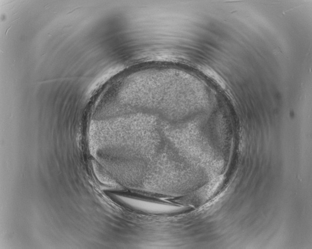 X0000088030922200706011346