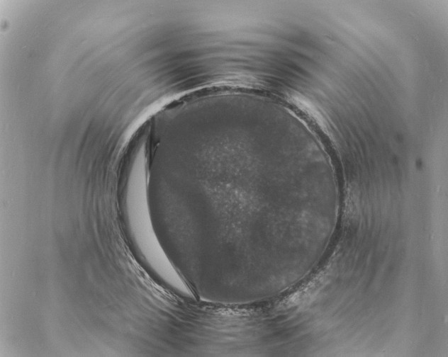 X0000088030923200706011346