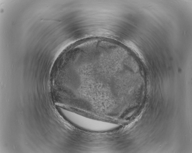 X0000088030924200706011346