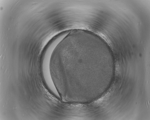 X0000088030926200706011346