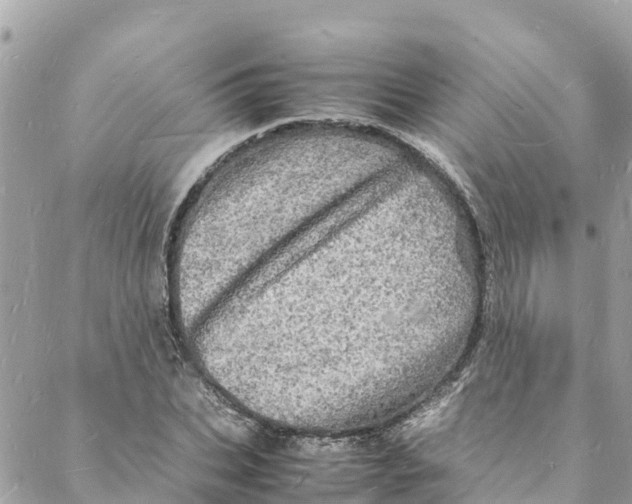 X0000088030927200706011346