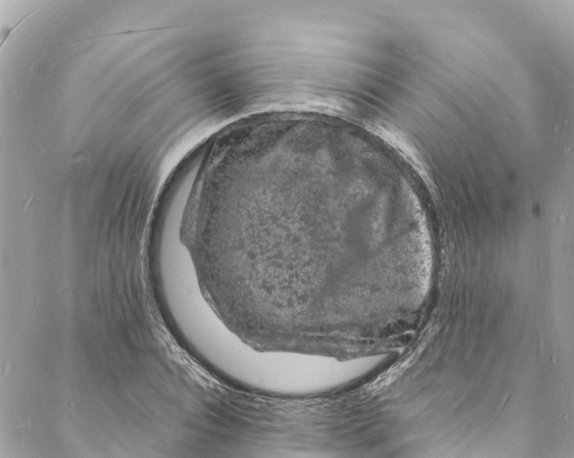 X0000088030928200706011346