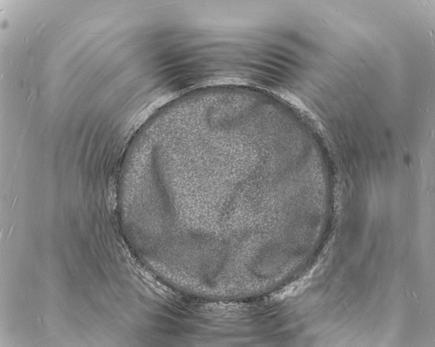 X0000088030929200706011346