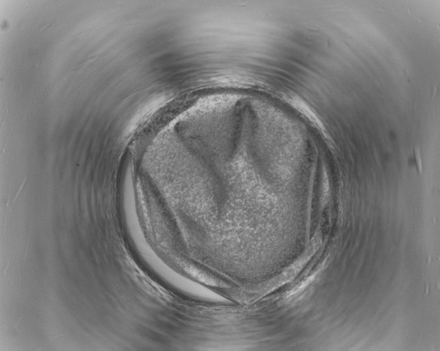 X0000088030930200706011346