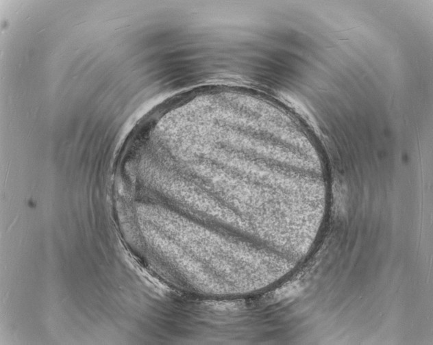 X0000088030931200706011346