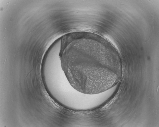 X0000088030932200706011346