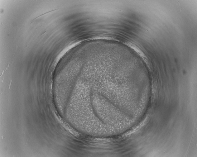 X0000088030933200706011346