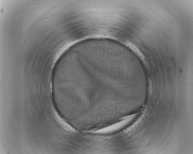 X0000088030934200706011346