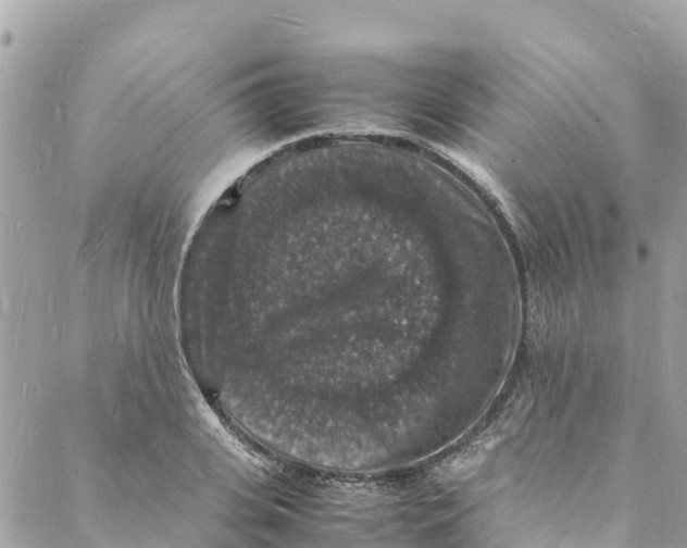 X0000088030935200706011346