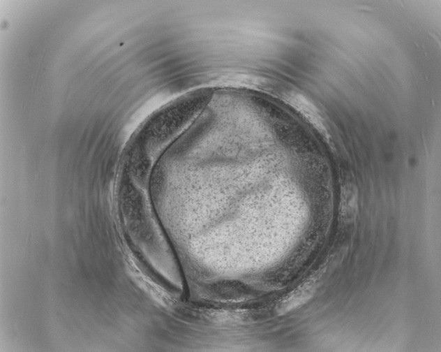 X0000088030936200706011346