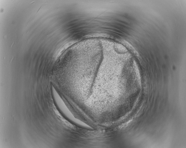 X0000088030937200706011346