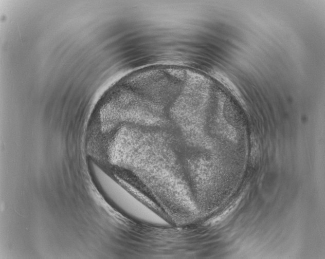 X0000088030939200706011346