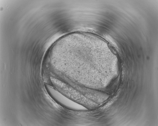 X0000088030940200706011346