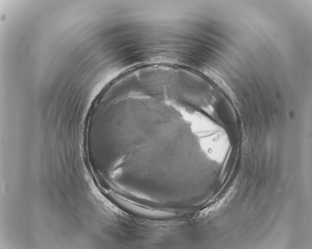 X0000088030941200706011346