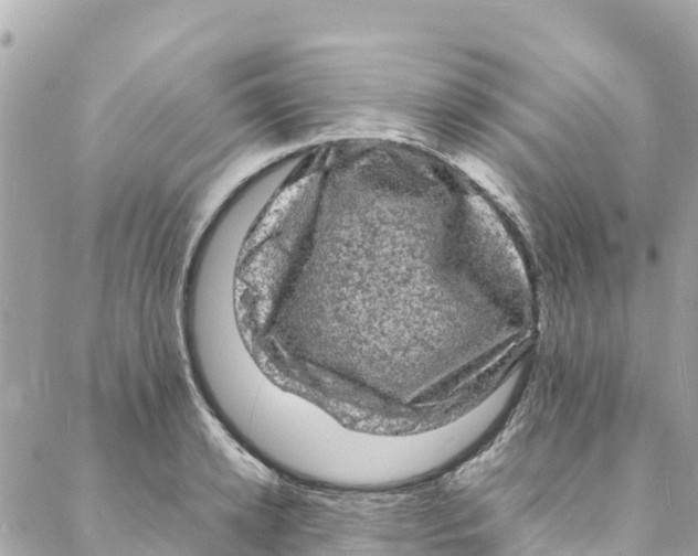 X0000088030942200706011346