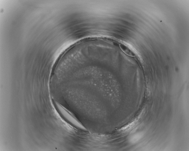 X0000088030943200706011346