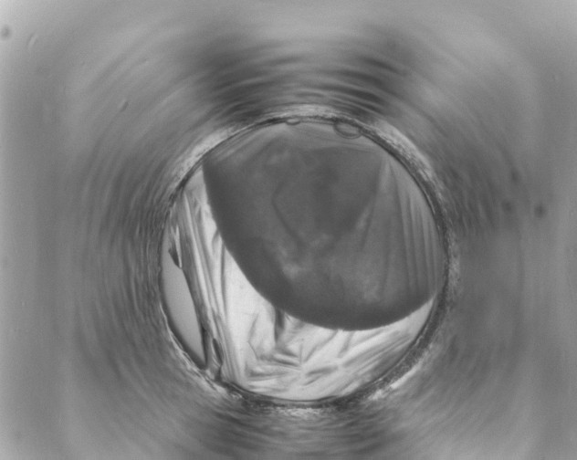 X0000088030945200706011346