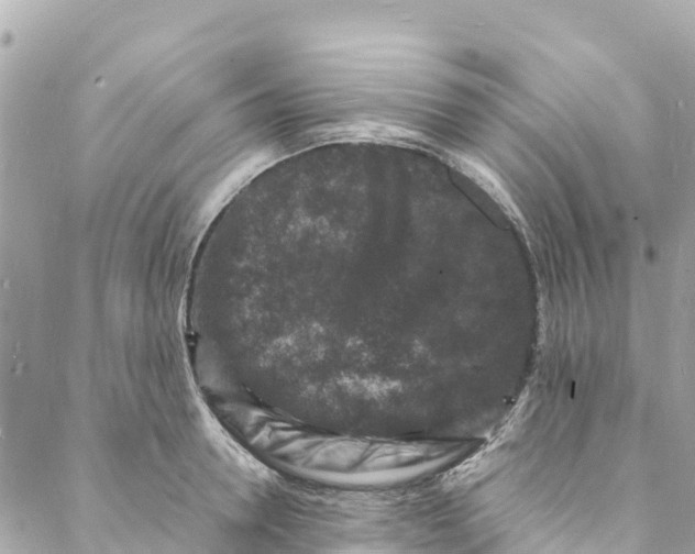 X0000088030946200706011346