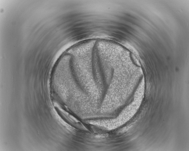 X0000088030947200706011346