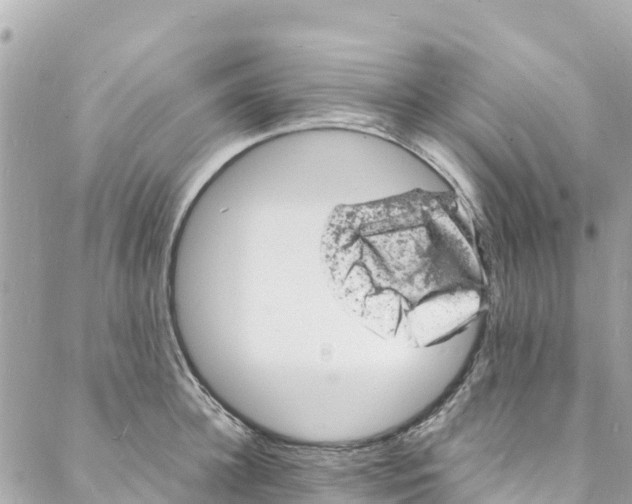 X0000088030948200706011346