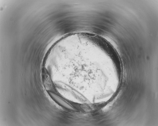 X0000088030949200706011346