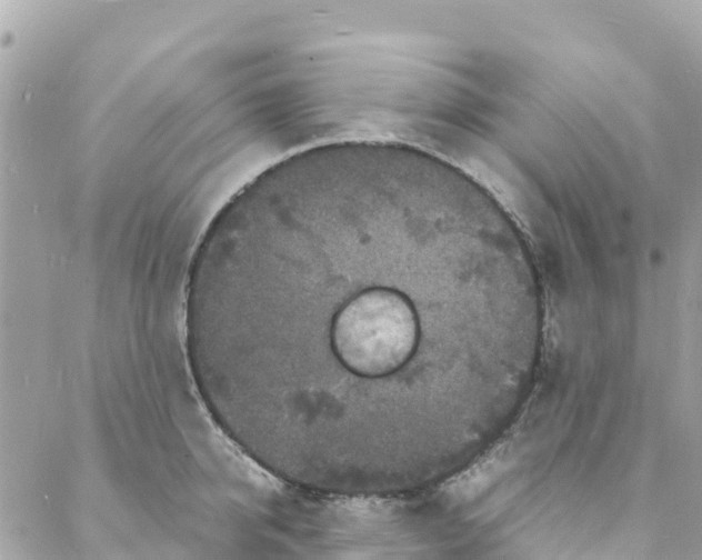 X0000088030950200706011346