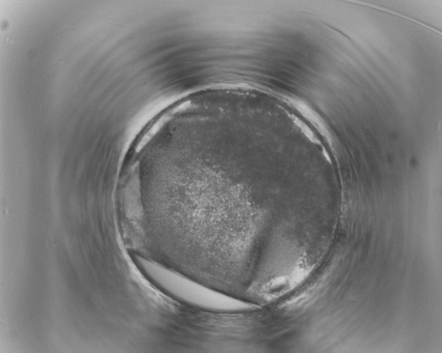 X0000088030951200706011346