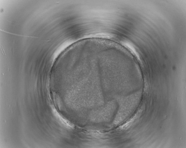 X0000088030952200706011346