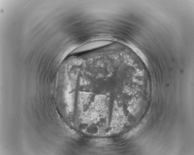 X0000088030953200706011346