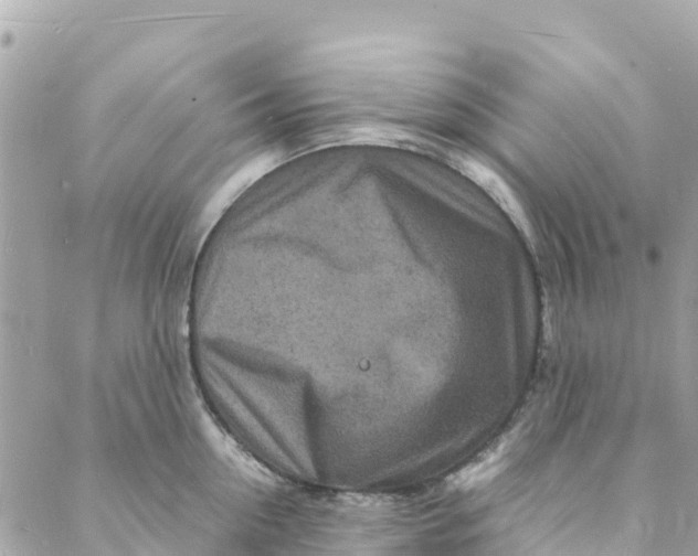 X0000088030954200706011346