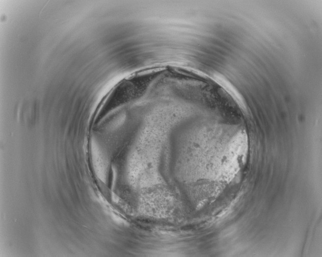 X0000088030956200706011346