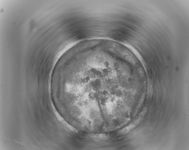 X0000088030957200706011346