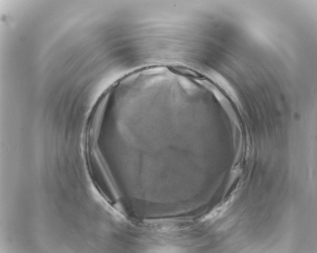 X0000088030958200706011346