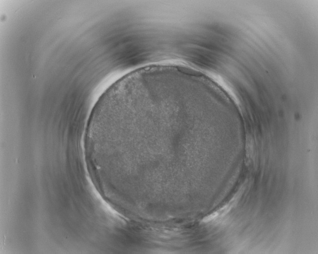 X0000088030959200706011346