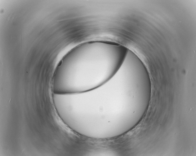 X0000088030960200706011346